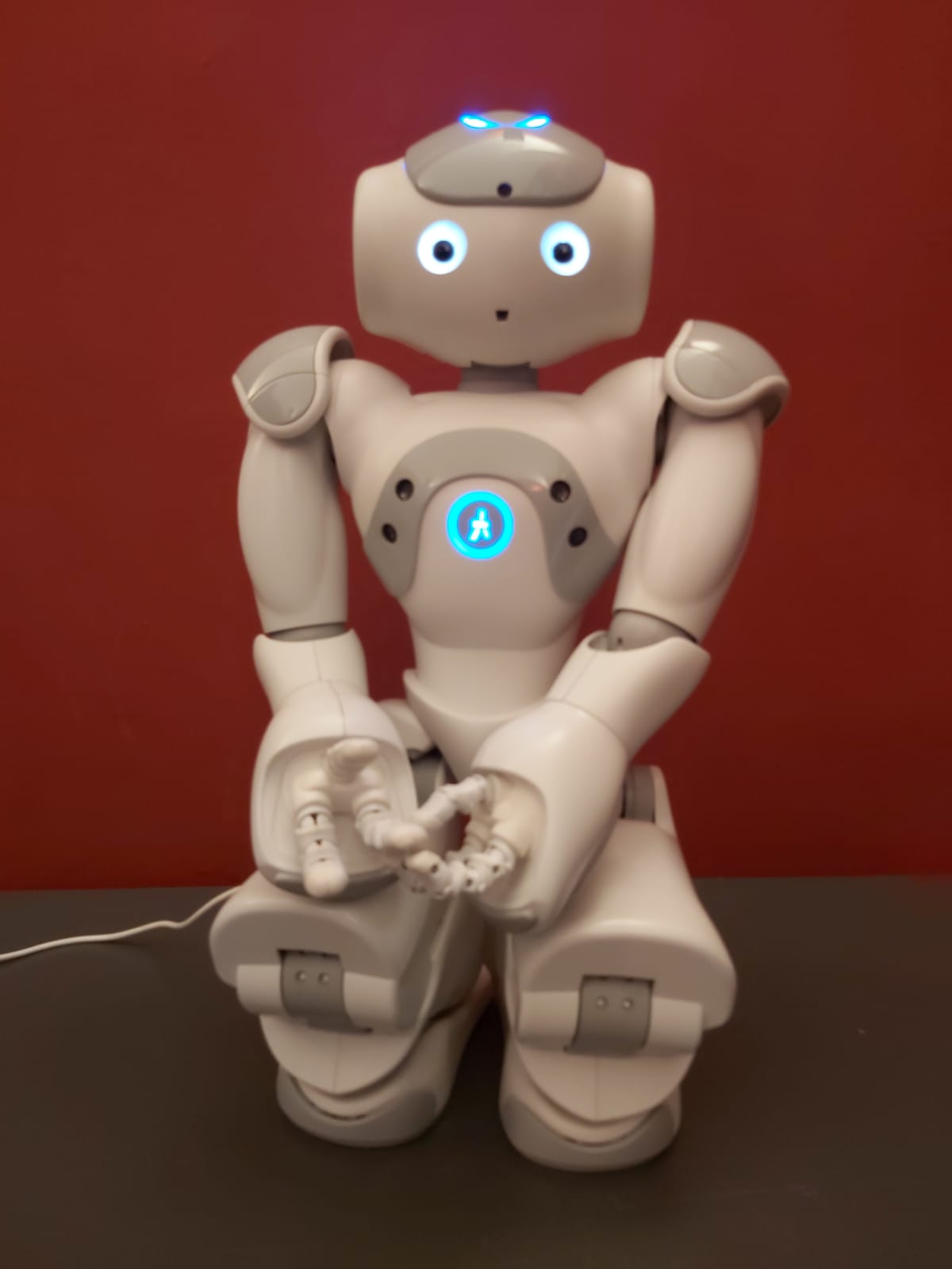 TassiNao, il robot umanoide al Museo di Capodimonte intervista i turisti