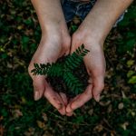 AOH Napoli per l’Earth Day a sostegno del verde e dell’architettura del futuro