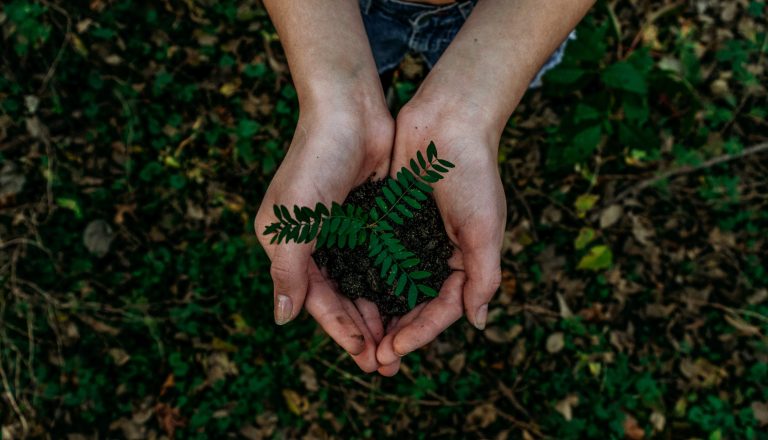 AOH Napoli per l’Earth Day a sostegno del verde e dell’architettura del futuro