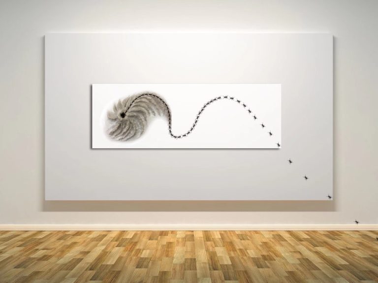 IN AND OUT, mostra dei vincitori dei Concorsi Zucchelli e delle Residenze d'artista