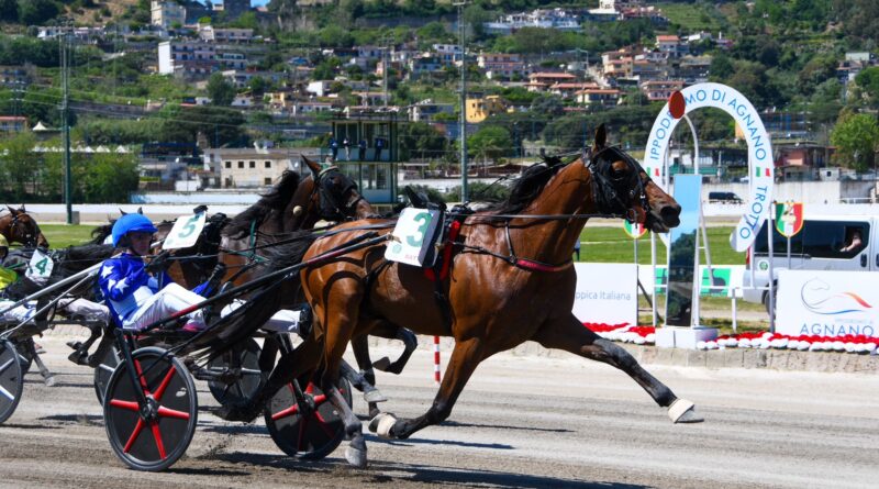 Corse a pieno ritmo all’ippodromo di Agnano